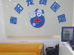 -暖阳宠物医院·犬猫康复中心·骨科