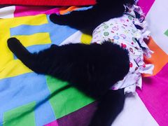 -达爱动物医院·犬猫分区·CT·复杂眼科(远洋山水分院)