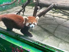 -常州淹城野生动物世界
