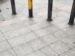 -坂田天虹