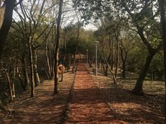 -南京市无想山景区
