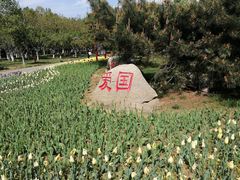 -泰安方特欢乐世界