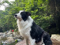 -梧桐山风景名胜区