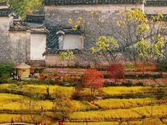 -塔川景区