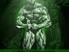 -金吉鸟健身游泳