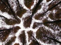 -山王坪喀斯特国家生态公园