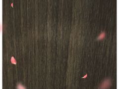 -泓0871臻选云南菜·味庄