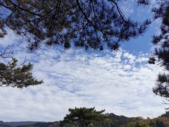 -庐山风景区花径公园