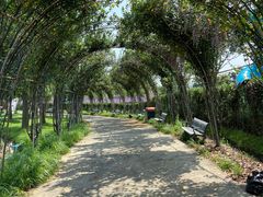 -季高兔窝窝亲子园(上海薰衣草公园店)