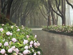 -黄兴公园