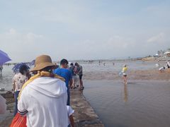 -刘家湾赶海园