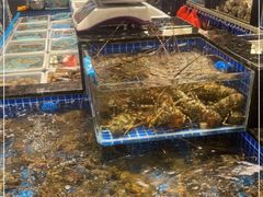 水产区-东海怡品海鲜豆捞(星街坊店)