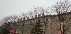 点击看大图 -甘井子区冠豪主题婚礼酒店宴会厅(机场店)