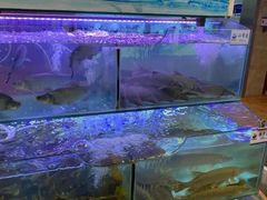 水产区-胖姐渔村(中源大道店)