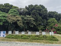 -美人鱼悬崖海景餐厅(鹿嘴山庄店)