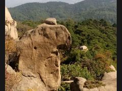 -鲁山国家森林公园