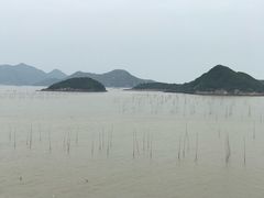 景点-花竹村