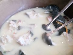 鲜活黑鱼-咕嘟草帽鱼·牛奶一样的鲜鱼汤(包河万达广场创始店)