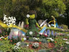 -上海共青森林公园