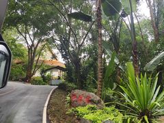 -西双版纳勐泐文化旅游区