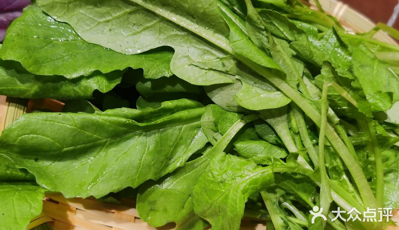 春天，这些野菜你认识么？