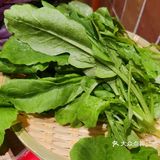 春天，这些野菜你认识么？