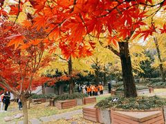 -四川博物院