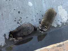 -泉州海丝野生动物世界