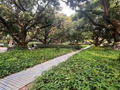 -荔香公园