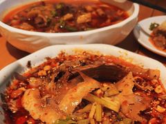 -曾牛肉
