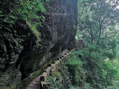 -青城山