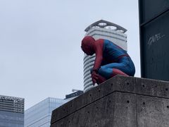 -加拿大国家电视塔