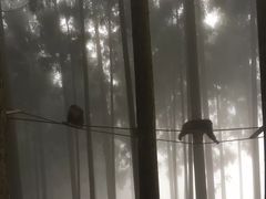 -太阳湾风景区