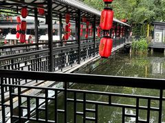 -侨美·唐荔园·40年地道粤菜