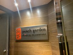 -桃苑(华侨银行大厦店)