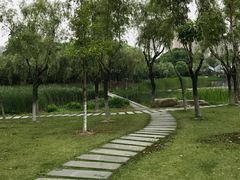 -暨阳湖生态园