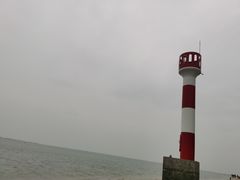 -北海金海湾红树林生态旅游区