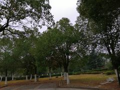 -南京国睿金陵大酒店