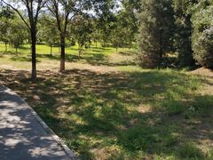 -永定河休闲森林公园