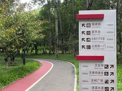 -大望京公园