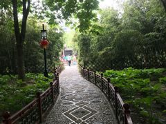 -月坛公园
