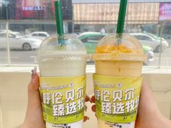 -茉酸奶(春熙路店)