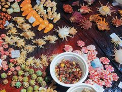 -摩登百货(岗顶店)