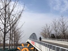 -大兴滨河森林公园