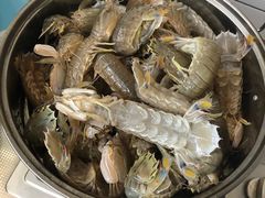 -鸭味飞飞