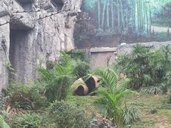 -石排湾郊野公园