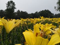 -保利石象湖景区