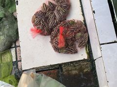 -西双版纳集贸市场