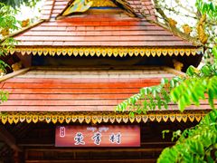 -野象谷景区