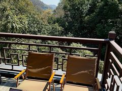 -十八棵（老龙井）御茶园(老龙井店)